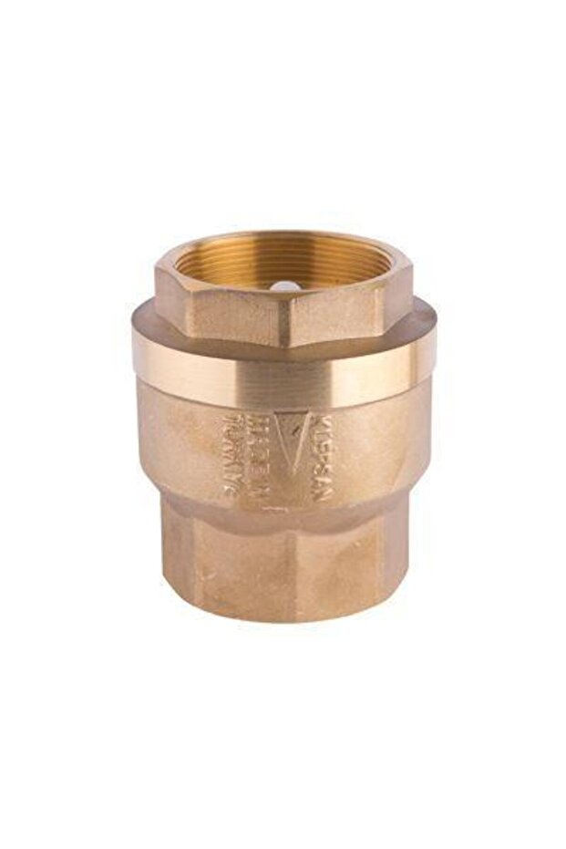 2'' Vertical Check Valve Solid Brass - 1