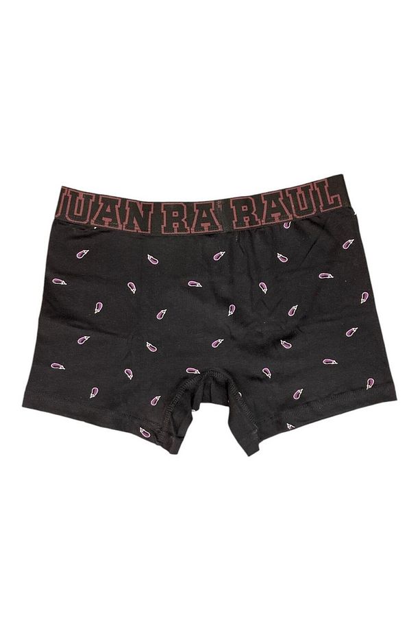 Küçük Patlıcan Desenli Erkek Boxer - Db189 - 2