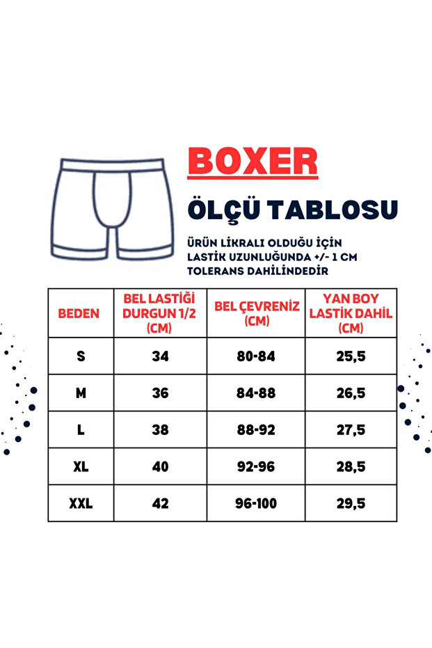 Beyaz Erkek Boxer - Dzn2802 - 8
