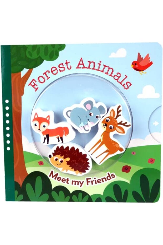 Meet My Friends Junior Forest