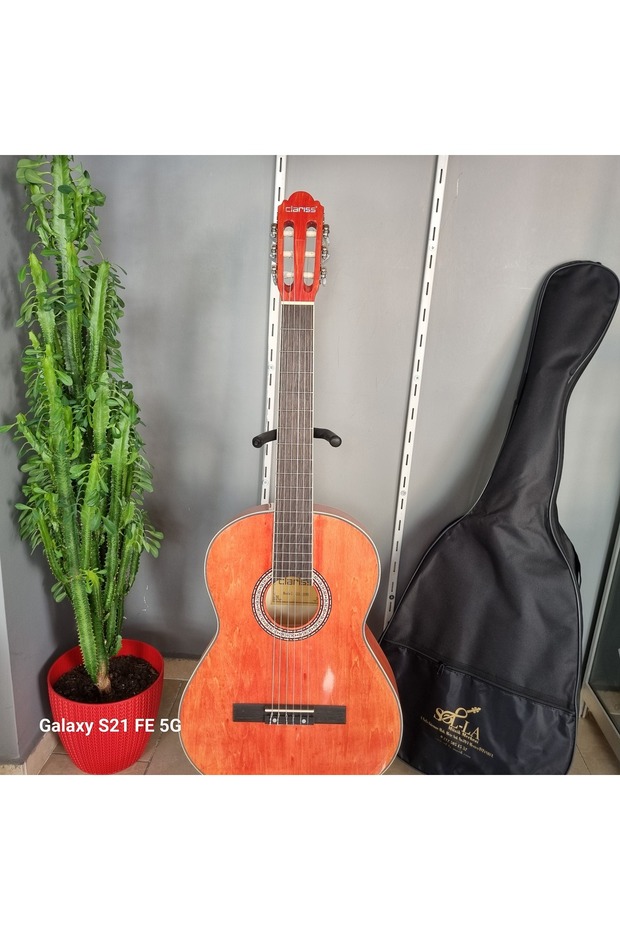 Klasik Gitar 4/4 - 1