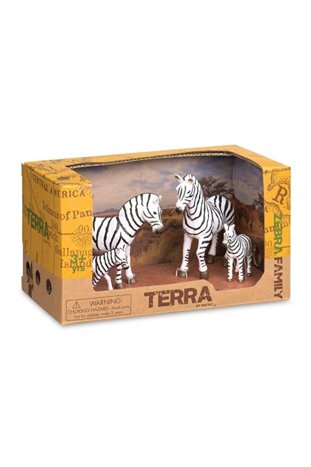 Zebra Ailesi - 4