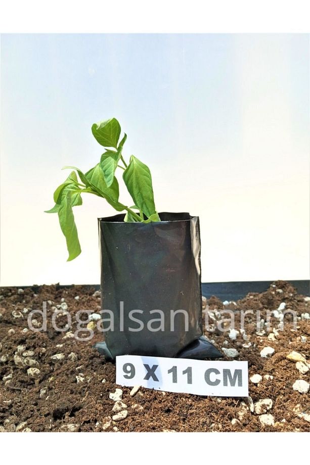 Fidan Poşeti 9x11 Cm 10 Adet Körüksüz Fide Poşeti Fide Torbası Fidan Körüksüz Fidan Torbası - 3