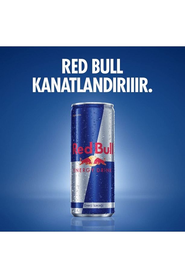 Redbull Classic Enerji Içeceği 250 ml 4 Adet 4x250ml Içecek - 2
