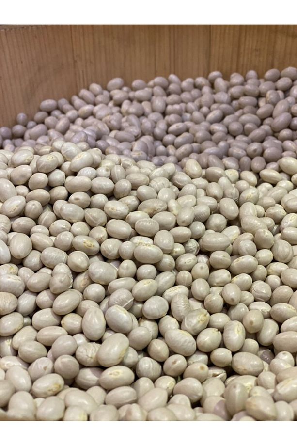 Çayeli Fasülyesi Ispir Fasülye 1000gr *** Yeni Mahsül *** - 5