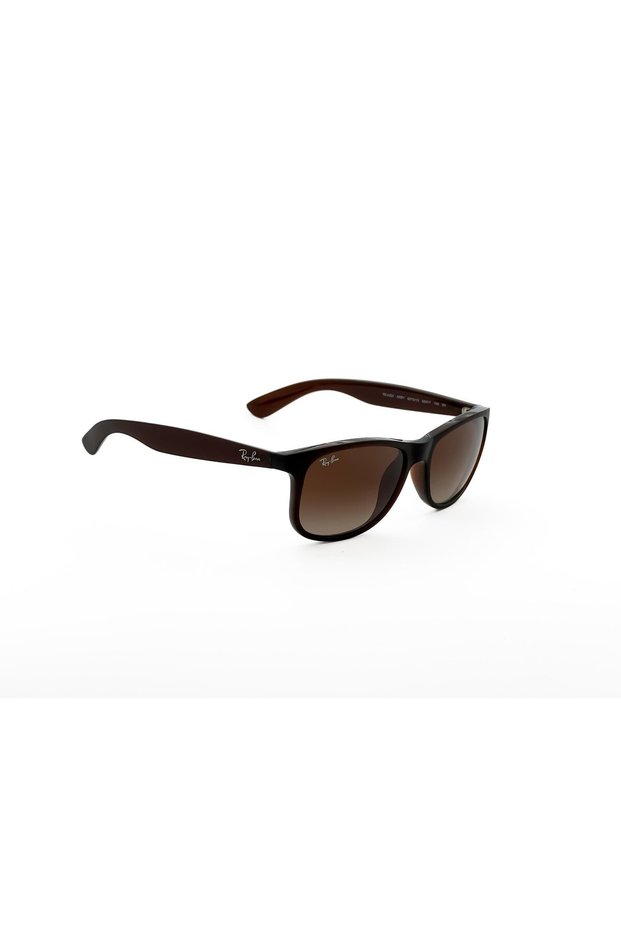 4202607313 55 Unisex Sunglasses