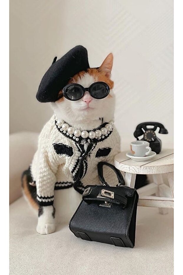 Kedi tasması  inci kolyesi - 3