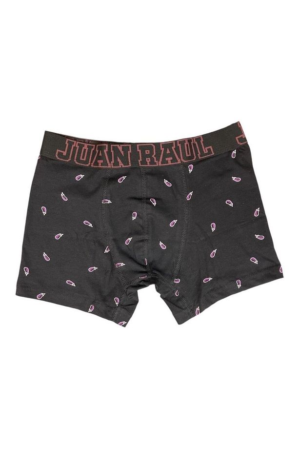 Küçük Patlıcan Desenli Erkek Boxer - Db189 - 1