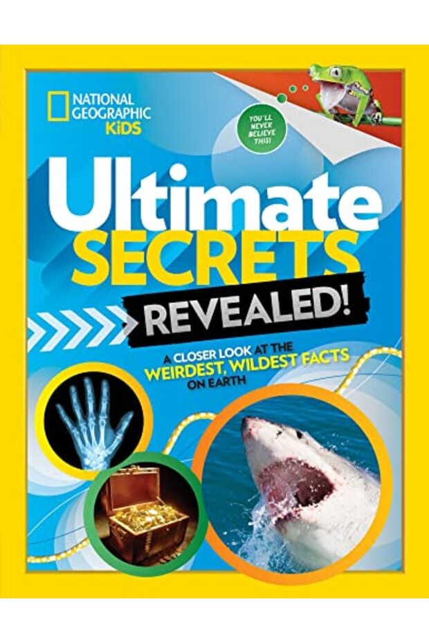 Ngk Ultimate Secrets Revealed
