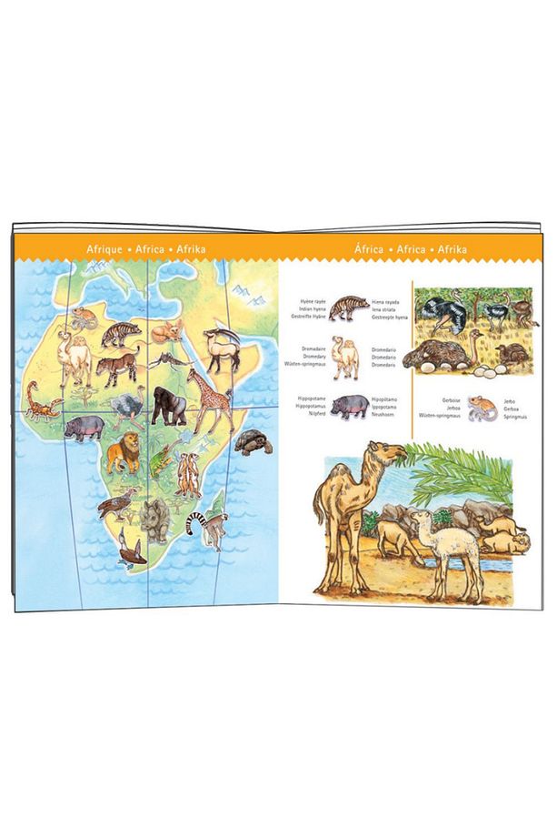 Klasik Puzzle 100 Parça - World's Animals - 4