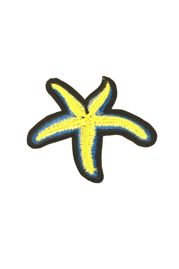 التصاق نجم البحر التصحيح - 2