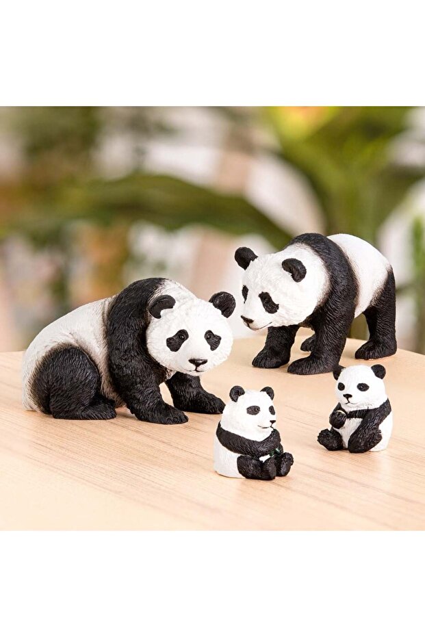 Terra Panda Ailesi - 2