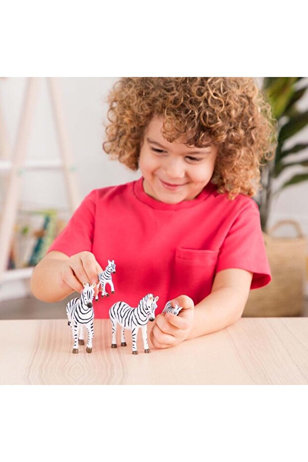Zebra Ailesi - 3
