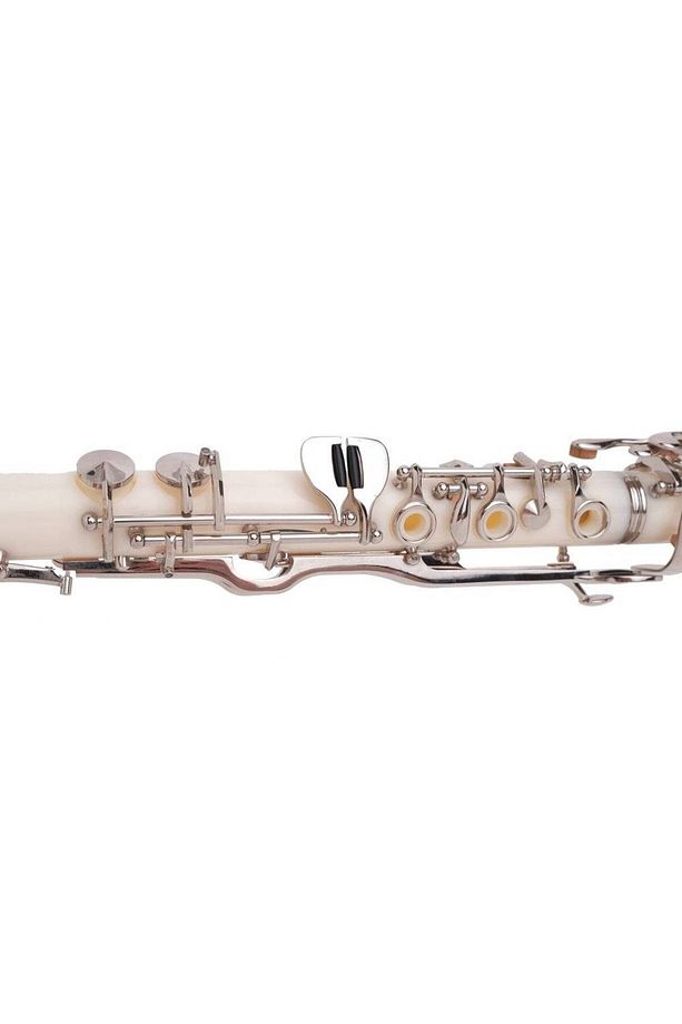 CL101-G Sol Klarnet - 2