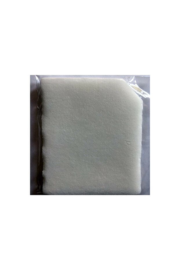 S 4240 a Engine Protection Filter - 2