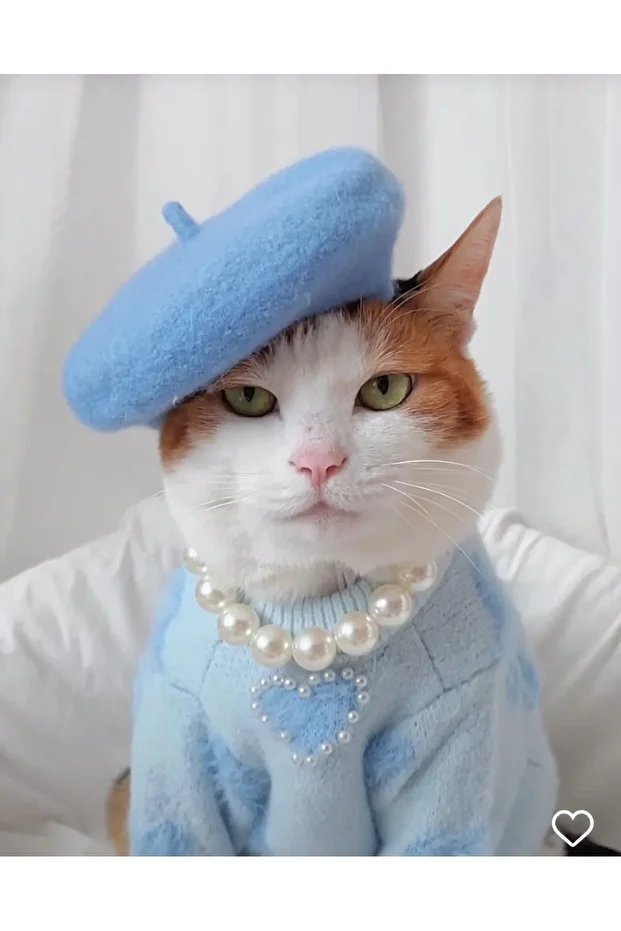 Kedi tasması  inci kolyesi - 1