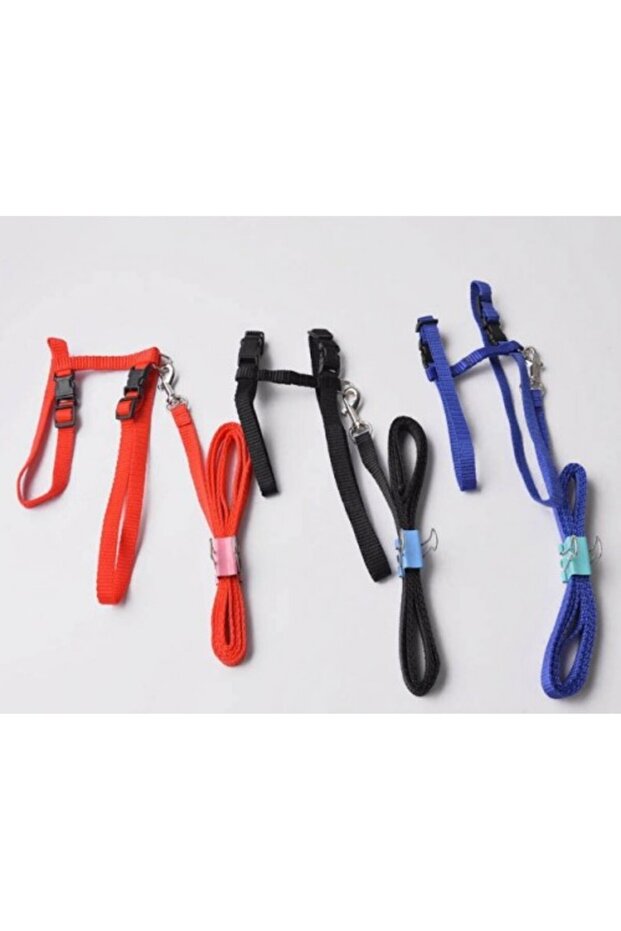 طوق القطط للحيوانات الأليفة - 3