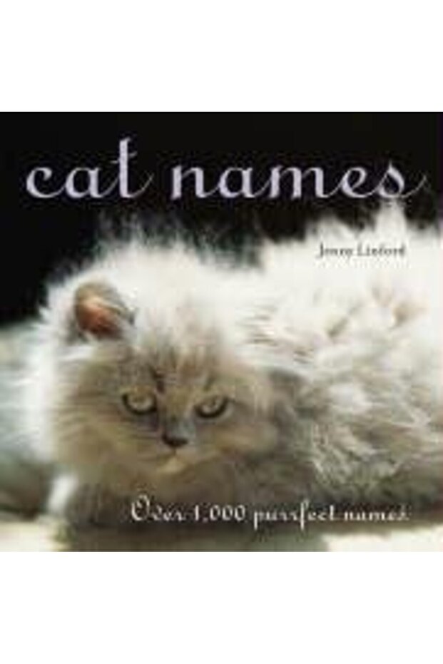 Cat Names Over 1000 Purrfect Names