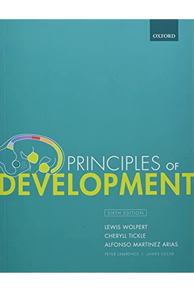 Principles Of Development