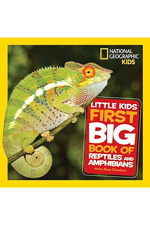 Ngk First Big Book Of Reptiles