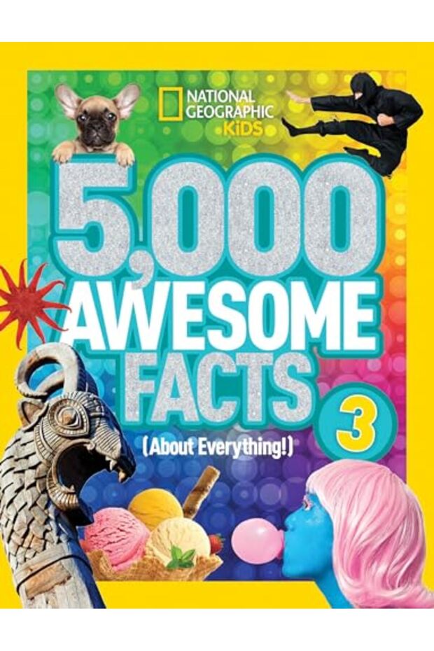 Ngk 5000 Awesome Facts Every 3