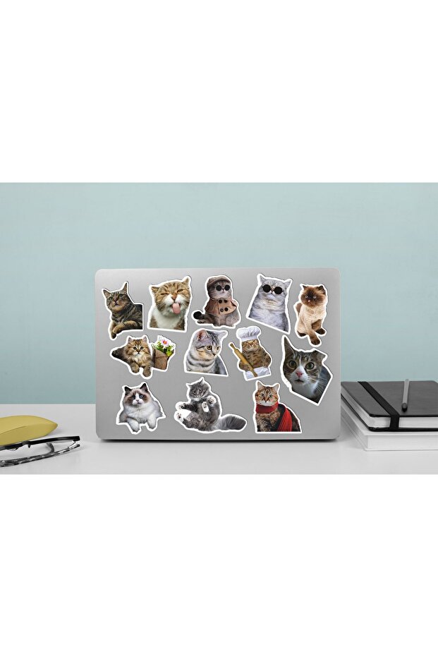 Cat Themed Sticker Set / Cats Stickers / Laptop Notebook Phone