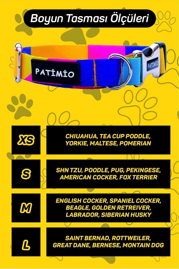Paws Isimli Köpek Tasması Ve Gezdirme Seti, Köpek Künyesi, Köpek Isimlik, Isme Özel Tasma - 8