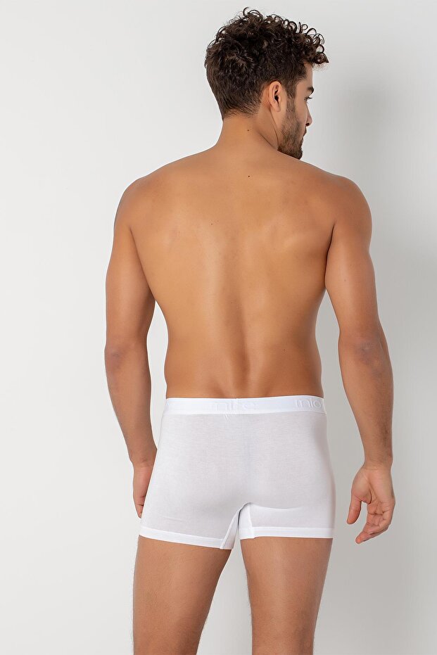 Modal Boxer - 4