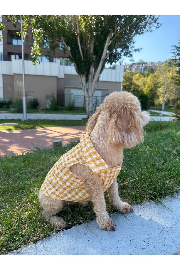 Küçük Irk Mevsimlik Sarı Müslin Köpek Gömleği - 3