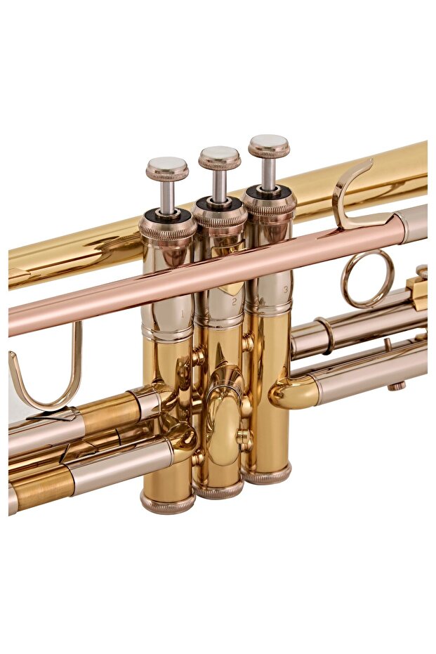 TR501 Bb Trompet - 5