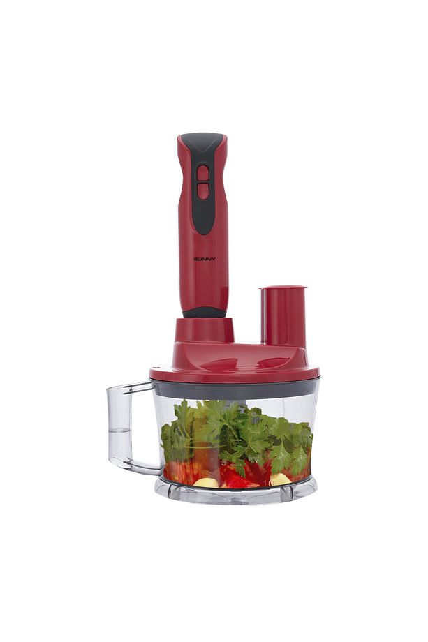 Viyolin Multi Blender Set - 2