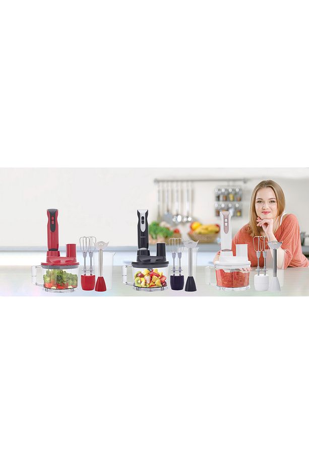 Viyolin Multi Blender Set - 3
