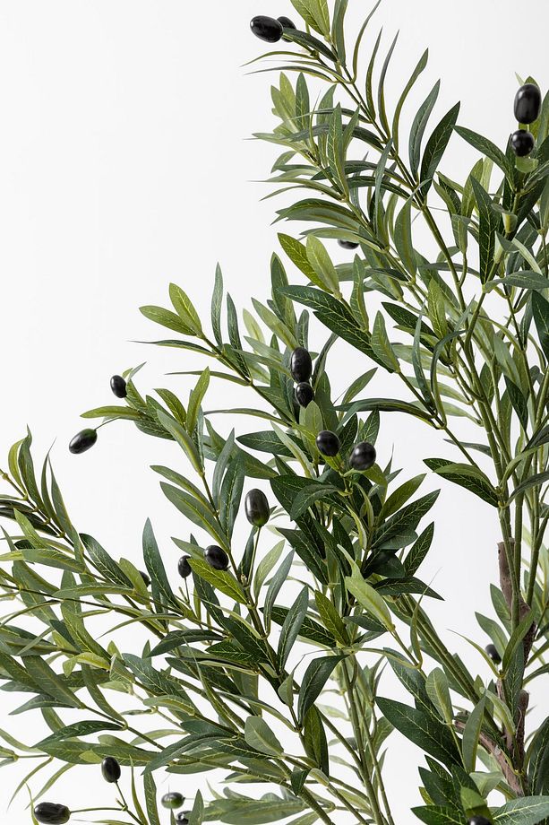 Yapay Zeytin Ağacı 175 cm Tek Gövdeli Doğal Gerçek Görünümlü Yapay Ağaç - 6