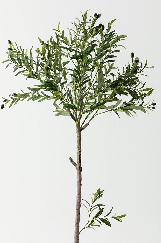 Yapay Zeytin Ağacı 160 cm Tek Gövdeli Doğal Gerçek Görünümlü Yapay Ağaç - 4