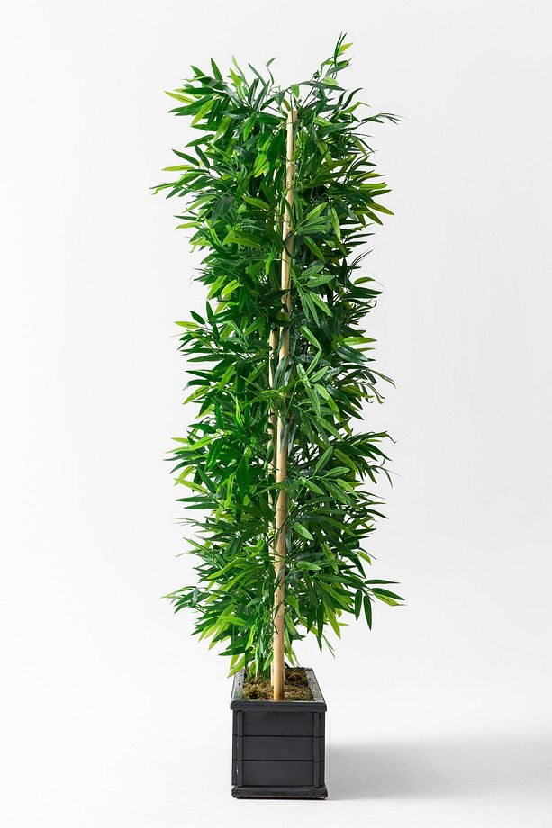 Yapay Bambu Seperatör Ahşap Antrasit Saksı 175 Cm - 4