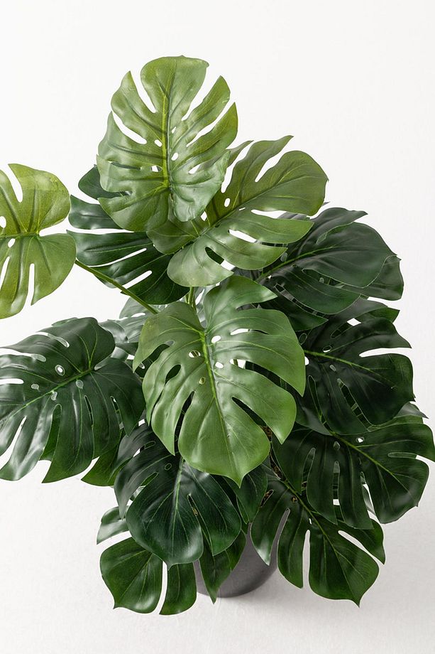 Yapay Salon Köşe Çiçeği 65 Cm Devetabanı - 3