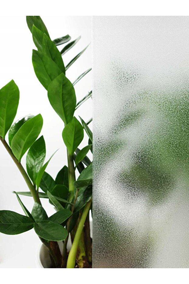 349-8154 Frosted Glass Appearance Adhesive Glass Foil (67,5CM X 1MT)