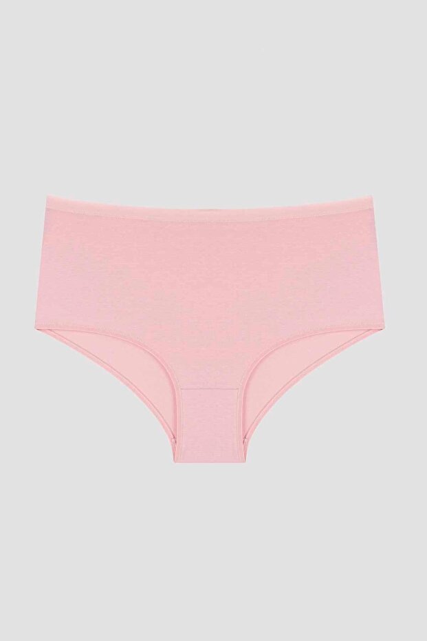 Zebra Desenli 3lü Yüksek Bel Slip Külot - 4