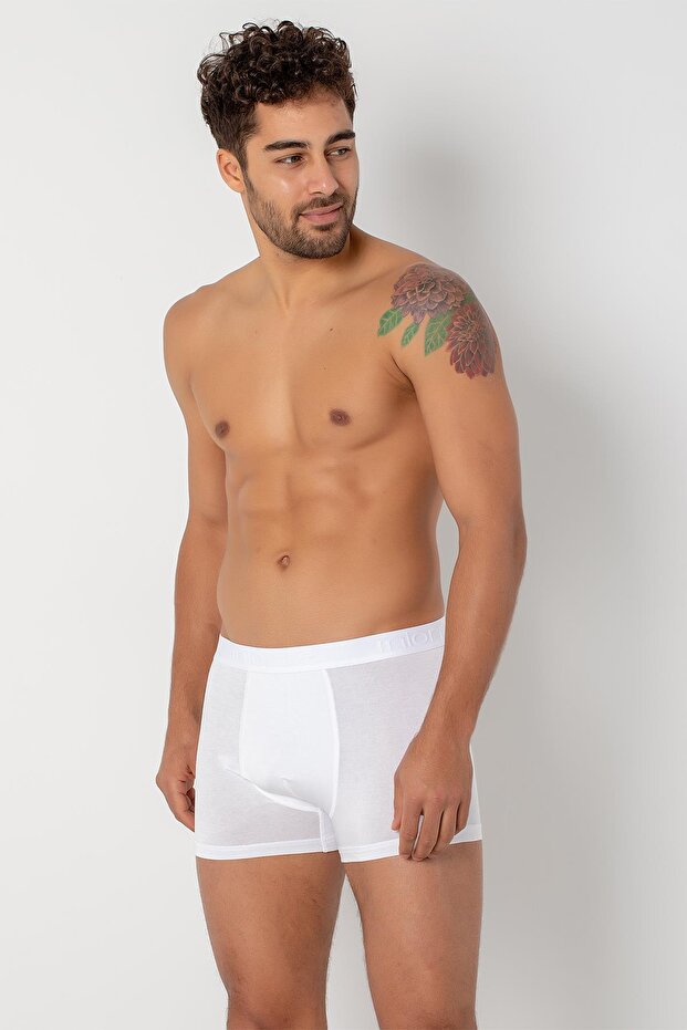 Modal Boxer - 2