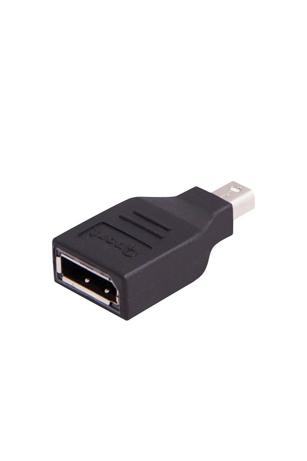 Q-port Mini Dısplayport -- Dıspayport Çevirici - 4
