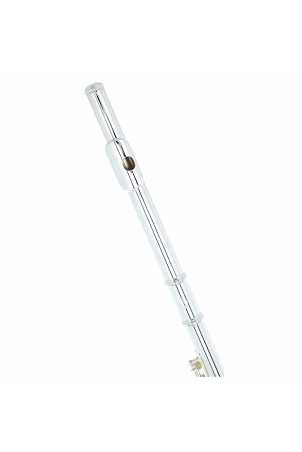 JFL-700EC Yan Flüt - 2