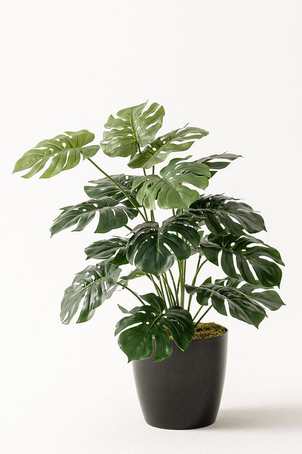Yapay Salon Köşe Çiçeği 65 Cm Devetabanı - 1