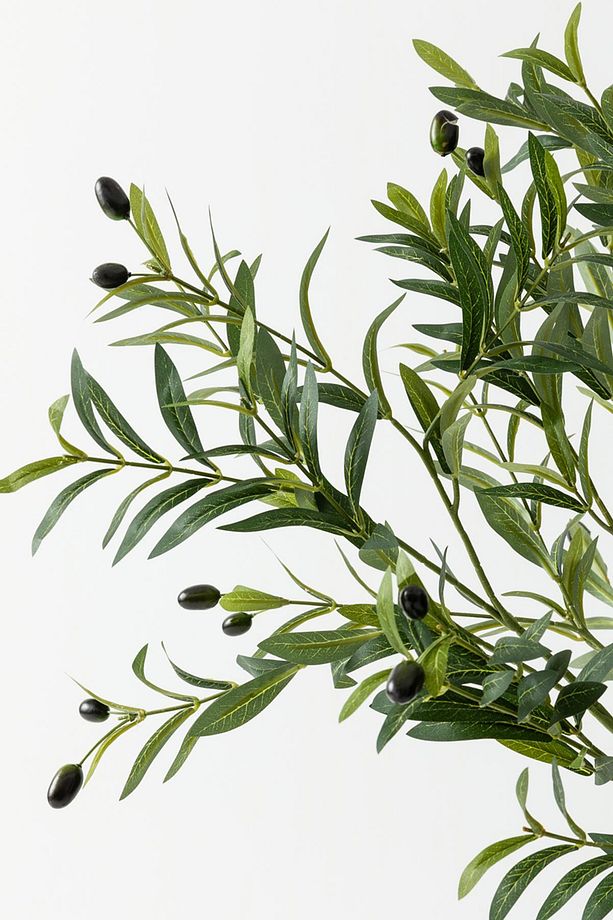 Yapay Zeytin Ağacı 160 cm Tek Gövdeli Doğal Gerçek Görünümlü Yapay Ağaç - 6