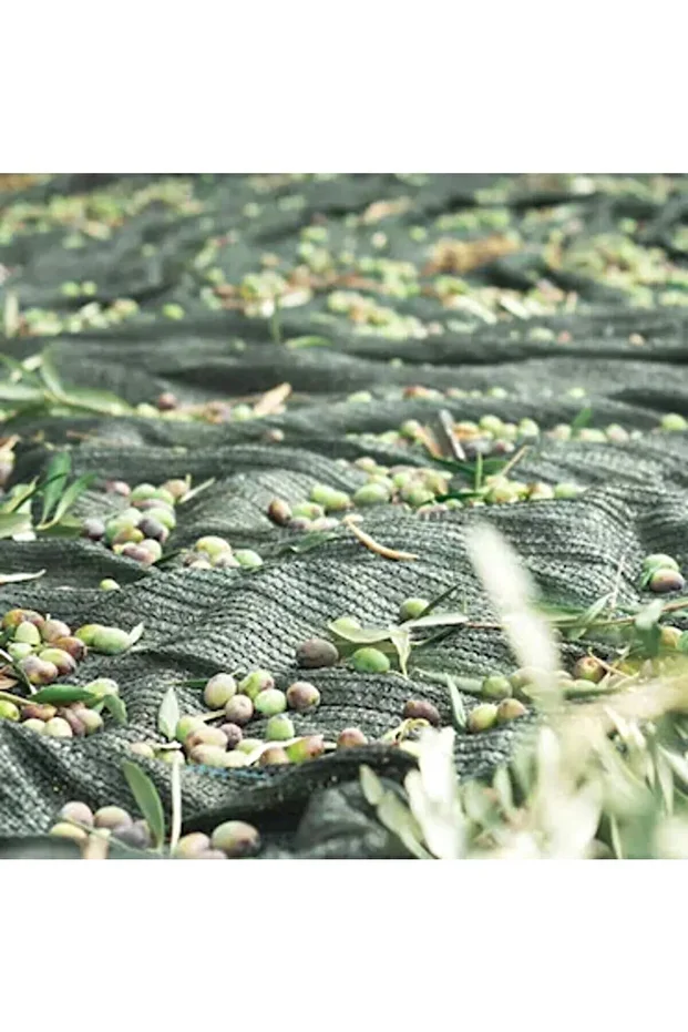 %75 Zeytin Toplama Filesi 4x10 - 1