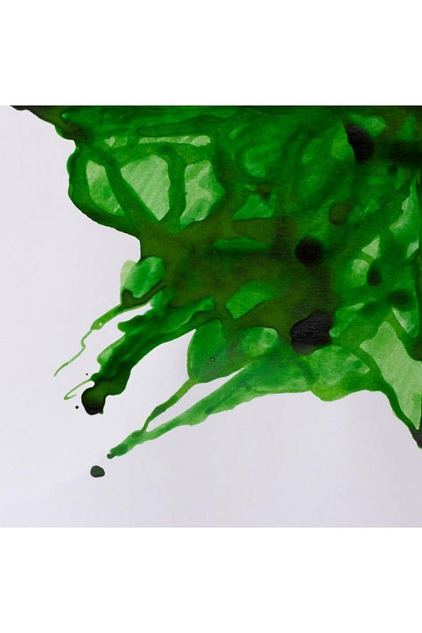 Winsor & Newton Çini Mürekkebi 14ml - Apple Green - 3