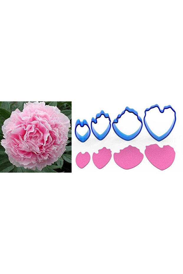 Peony Flower Making Set 4 Pieces Rp21109