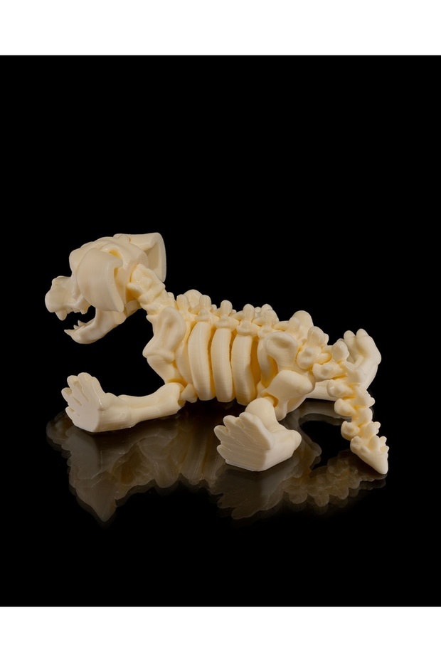 İskelet Köpek (iskelet koleksiyonu) - 6
