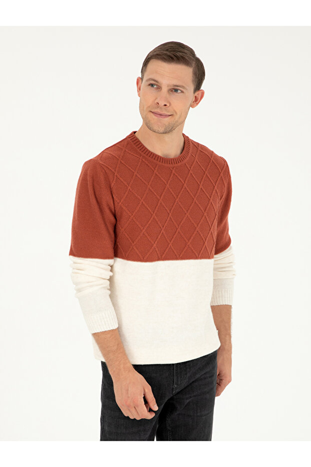 Kiretil Slim Fit Crew Neck Knitwear Sweater 50292568-Vr031
