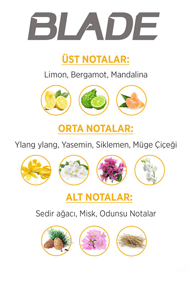 Archer Edt Erkek Parfüm 100 ml - 2