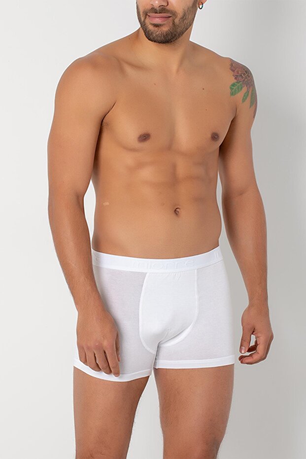 Modal Boxer - 5